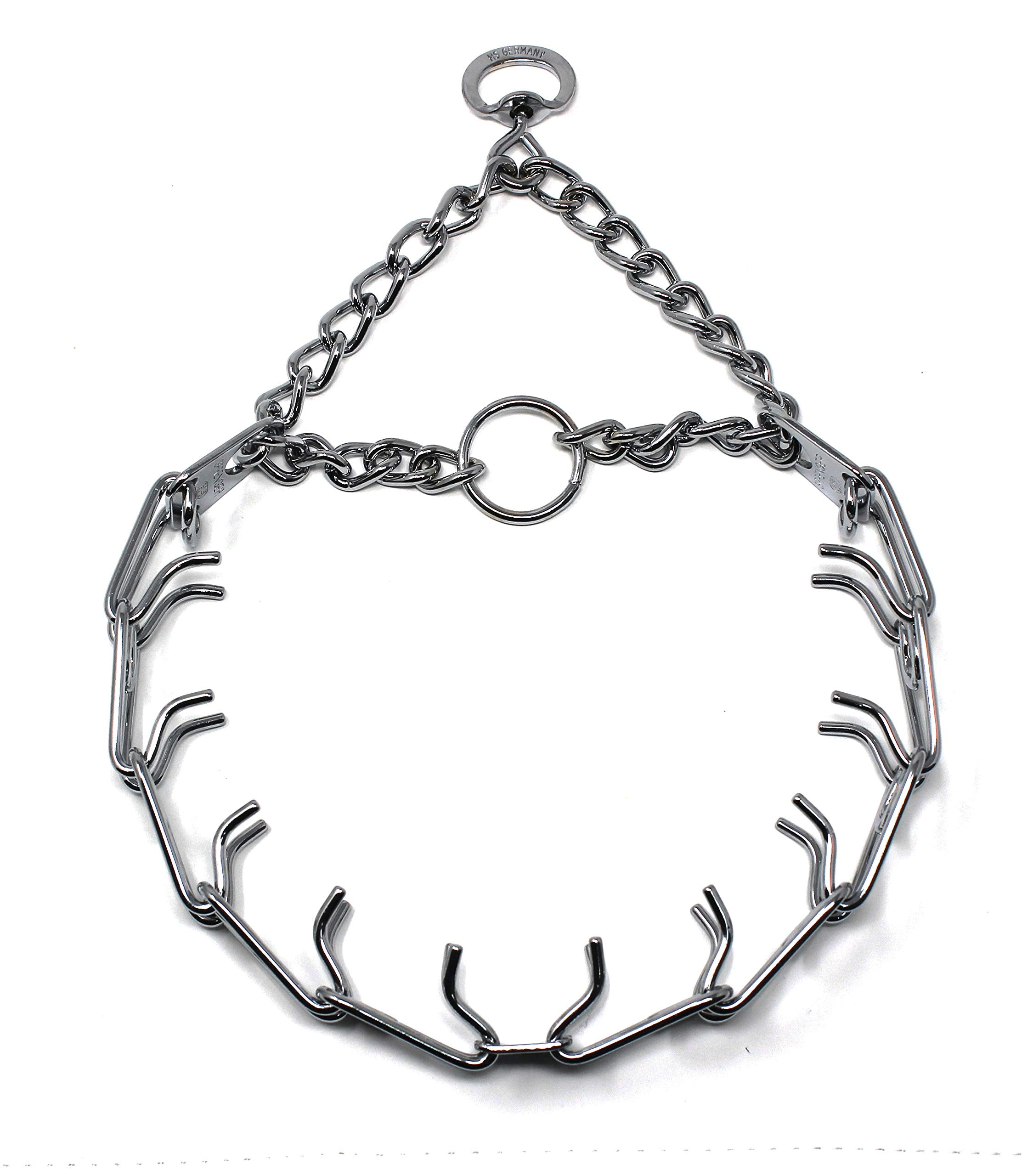 Herm Sprenger prong collar in full view for consistent, controlled training pressure.