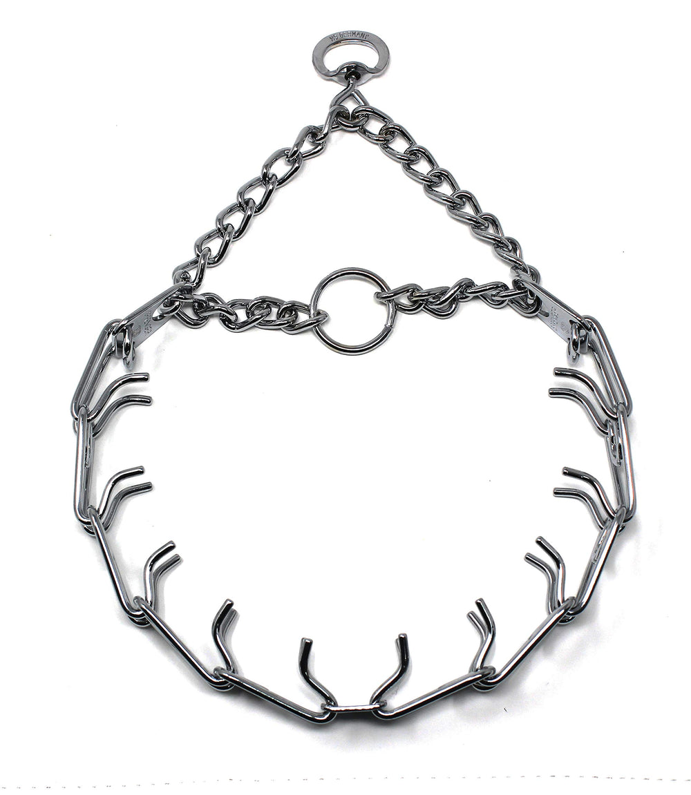 Herm Sprenger prong collar in full view for consistent, controlled training pressure.