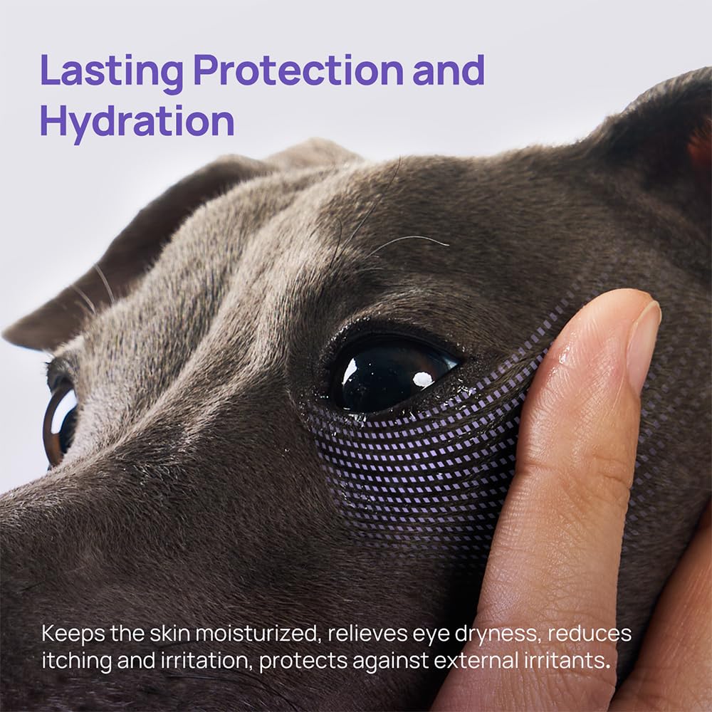 Home scene showing pets using HICC PET eye care routine