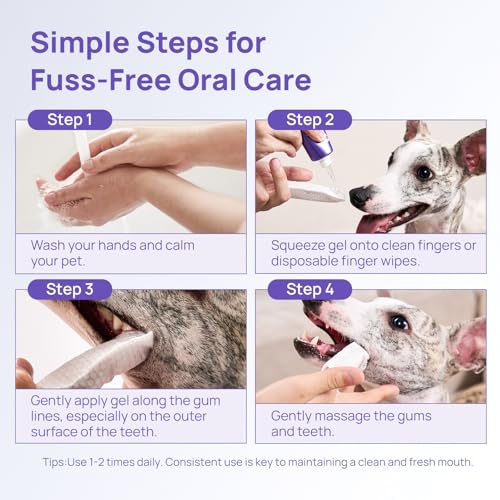 HICC PET Gel Dentaire, utilisation rapide dans la routine quotidienne.