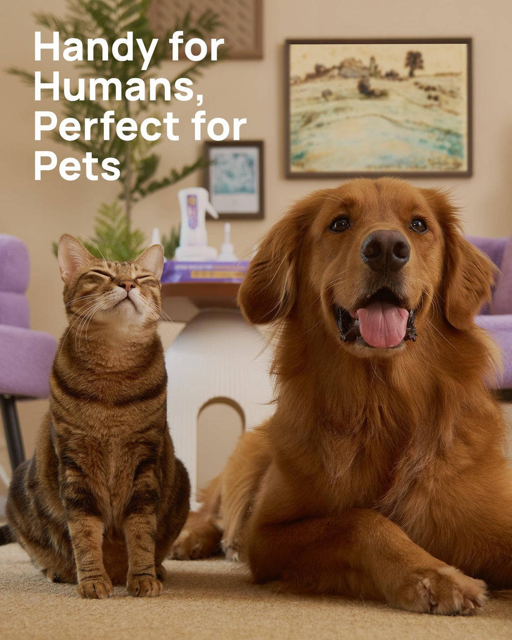 Utilisation pratique en déplacement pour nettoyer les yeux avec HICC PET.