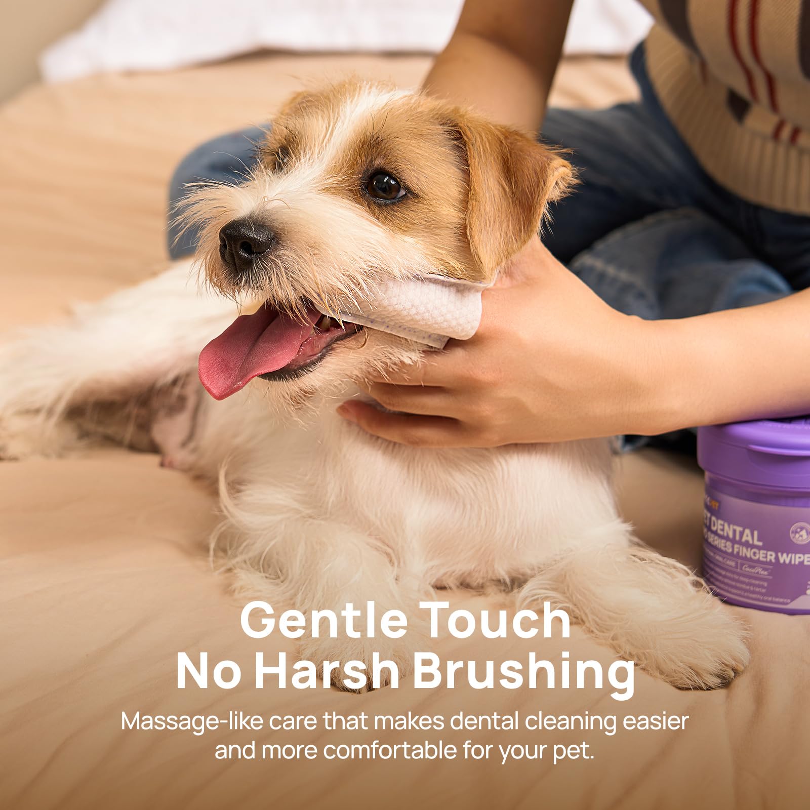 Unscented wipes option for fragrance-free pet dental care.