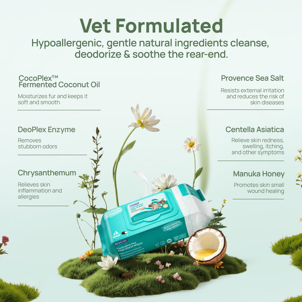 HICC PET anal gland wipe for gentle relief and hygiene.