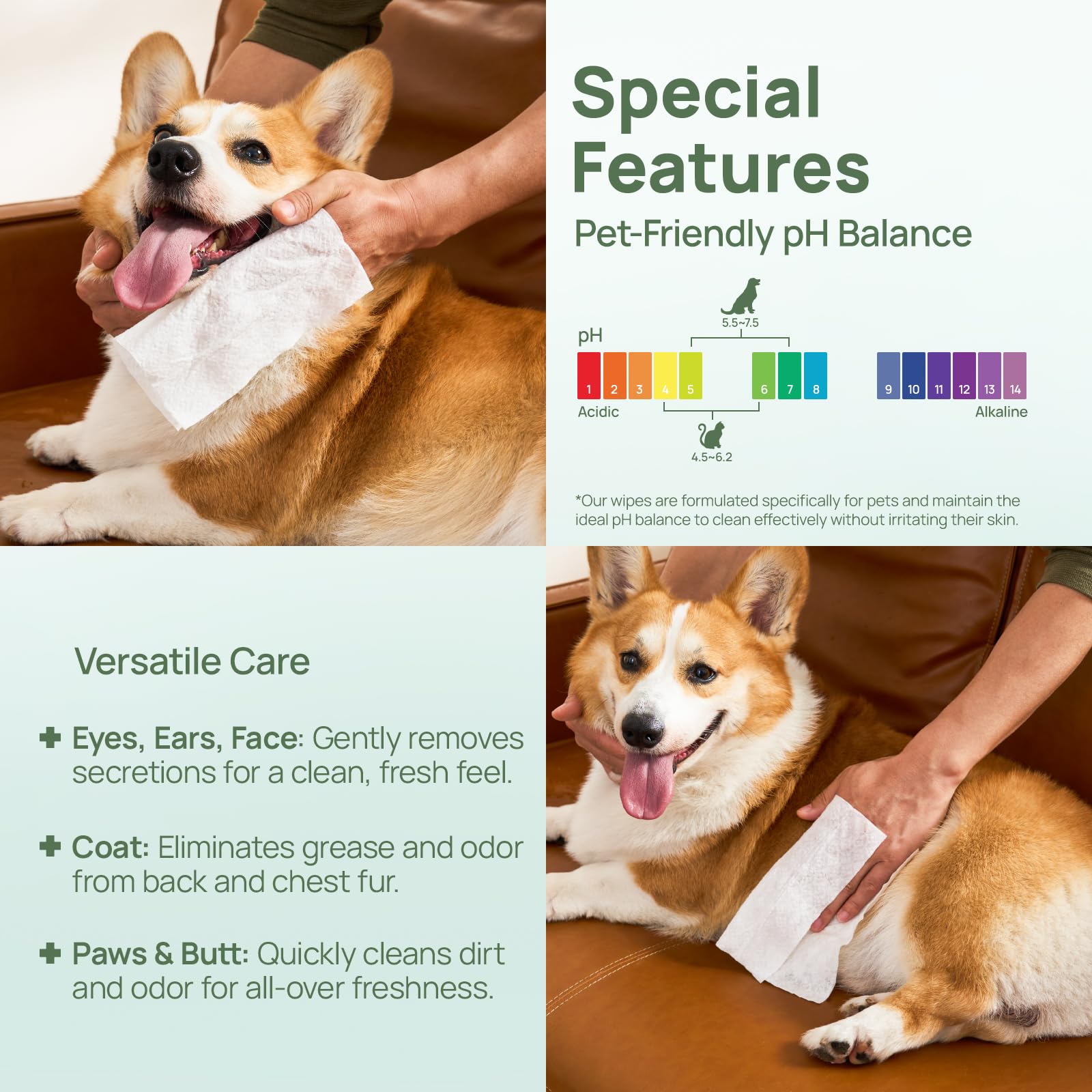 HICC PET eco-friendly fibers with VEOCEL Lyocell technology.