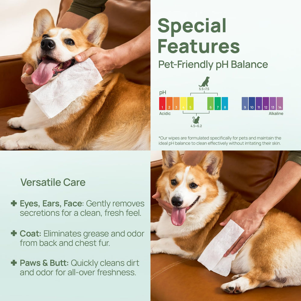HICC PET eco-friendly fibers with VEOCEL Lyocell technology.