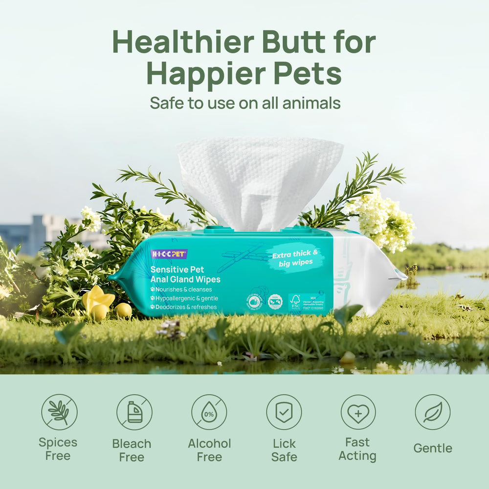 HICC PET Wipes natural plant extracts closeup on packaging