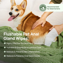 HICC PET paw care wipe for quick cleanup after outdoor adventures.