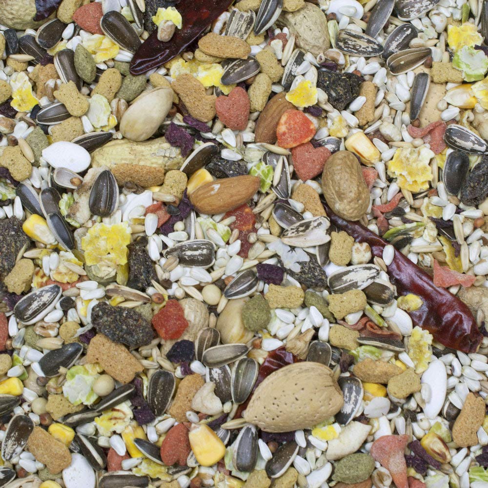 Higgins Sunburst Gourmet Blend parrot food 2-pack display highlights convenience.