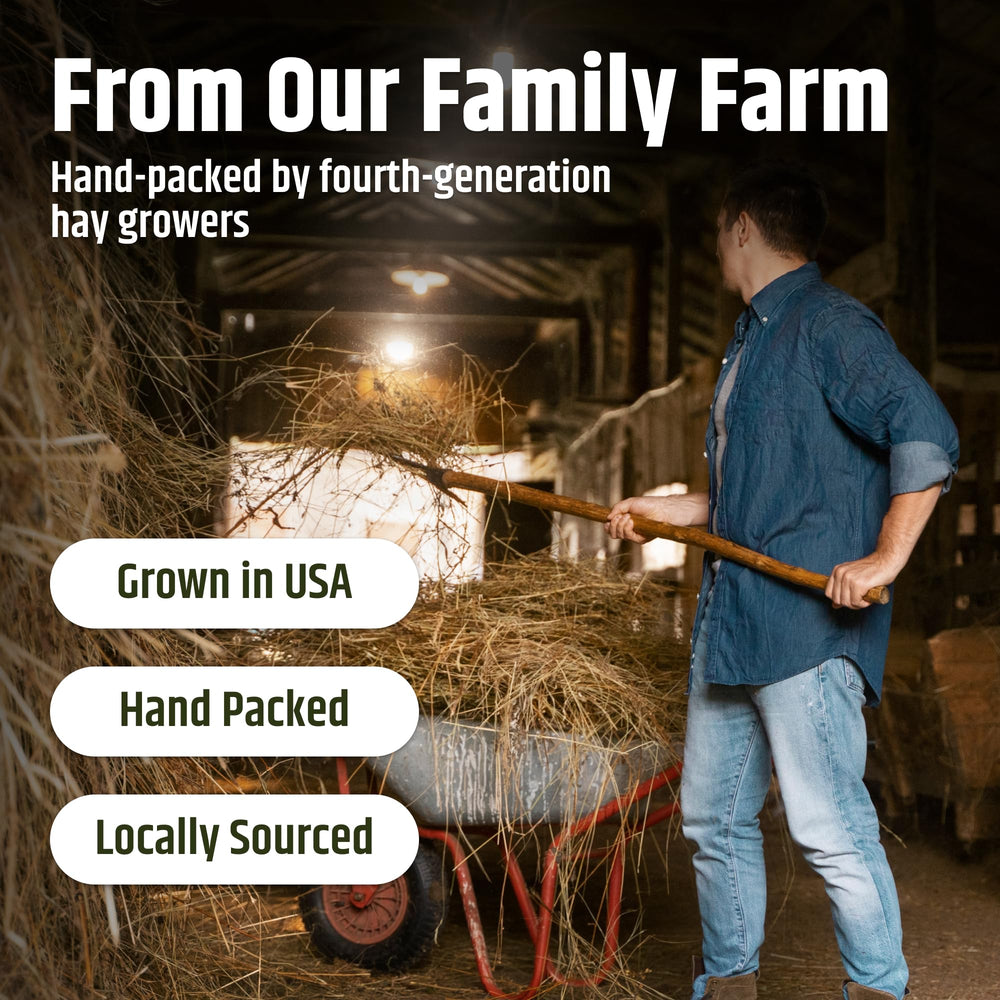 Aroma-preserved High Desert alfalfa hay supports fresh-feeding routines.