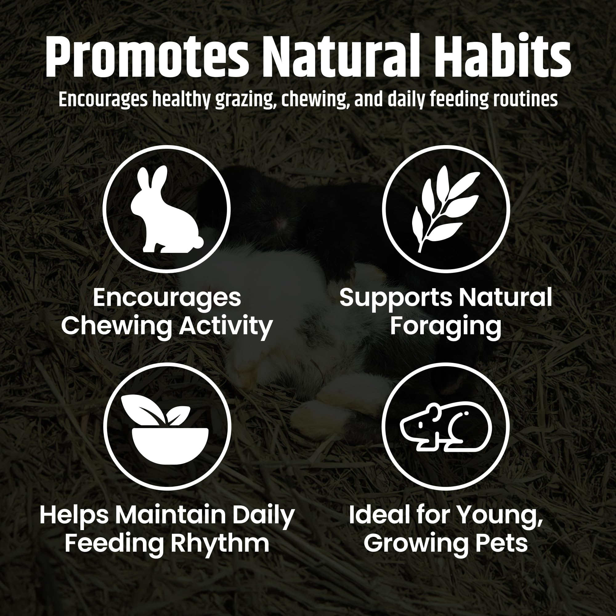 High Desert alfalfa hay—pure ingredients, no additives, favored by small pets.