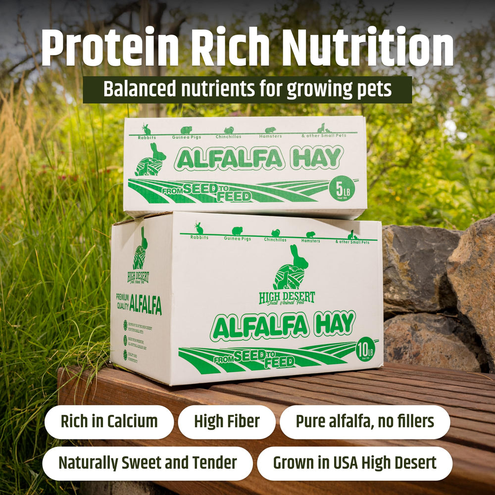 High Desert alfalfa hay for young pets provides nourishment for growth.