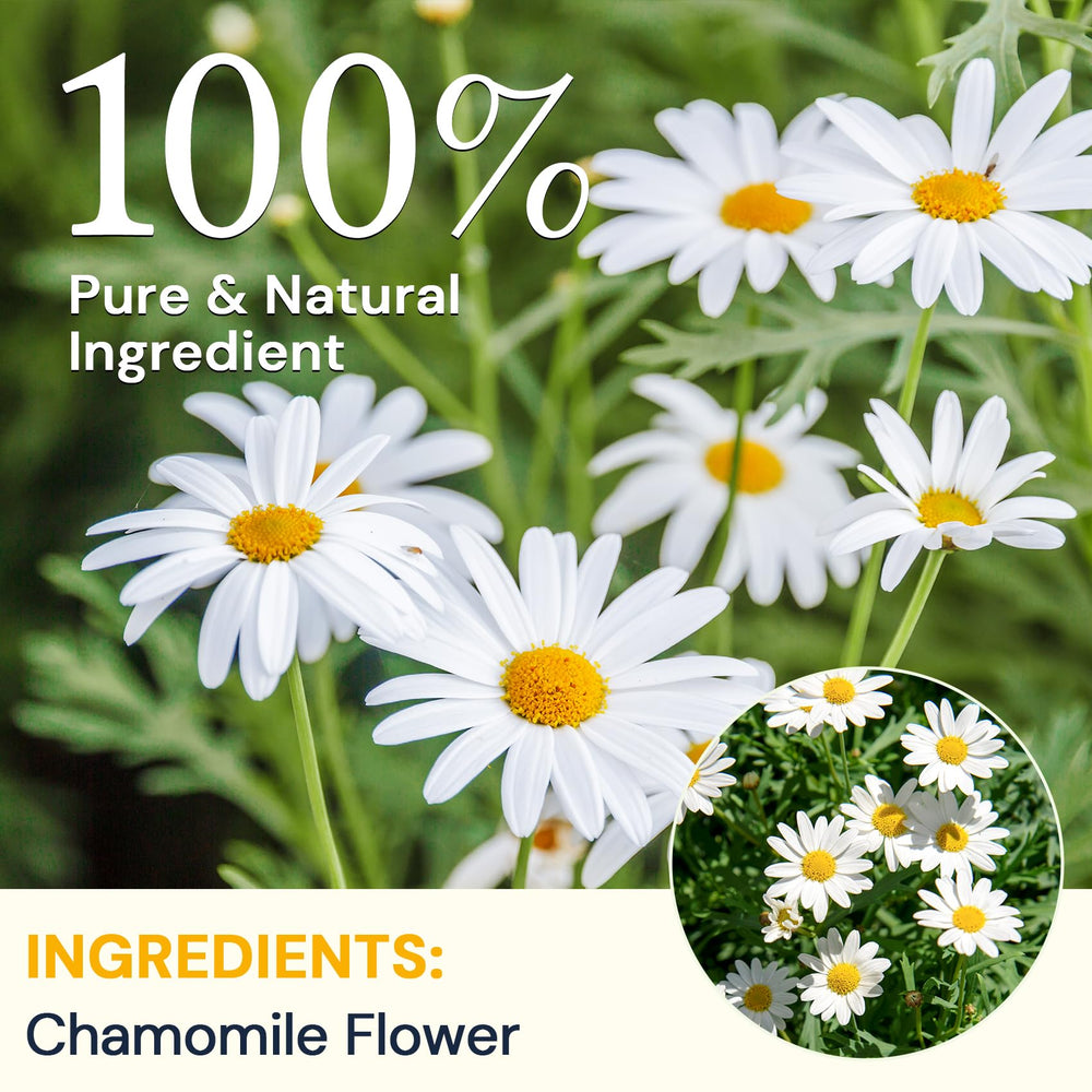 HIIHONE chamomile tea aroma highlighting a soothing floral scent.