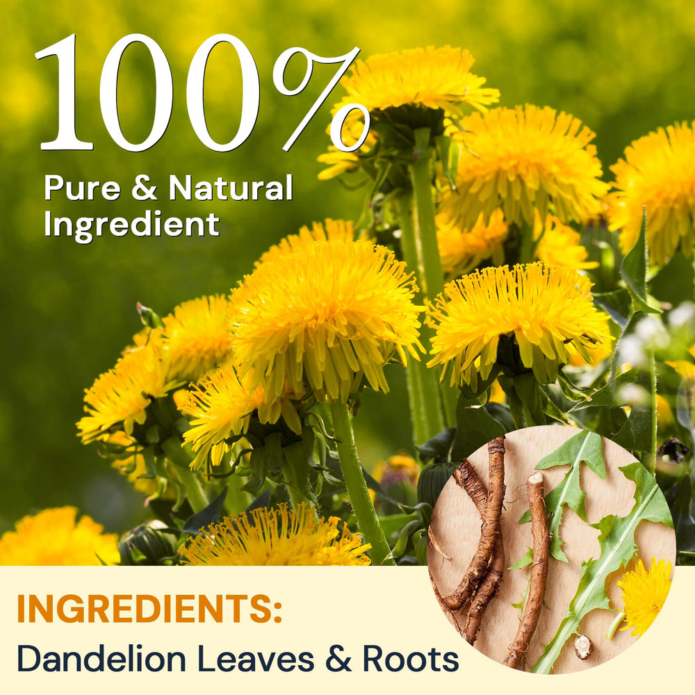 HIIHONE dandelion root tea bag for a gentle herbal brew.