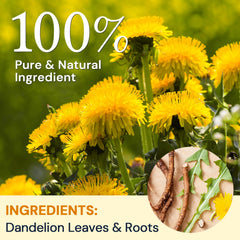 HIIHONE dandelion root tea bag for a gentle herbal brew.