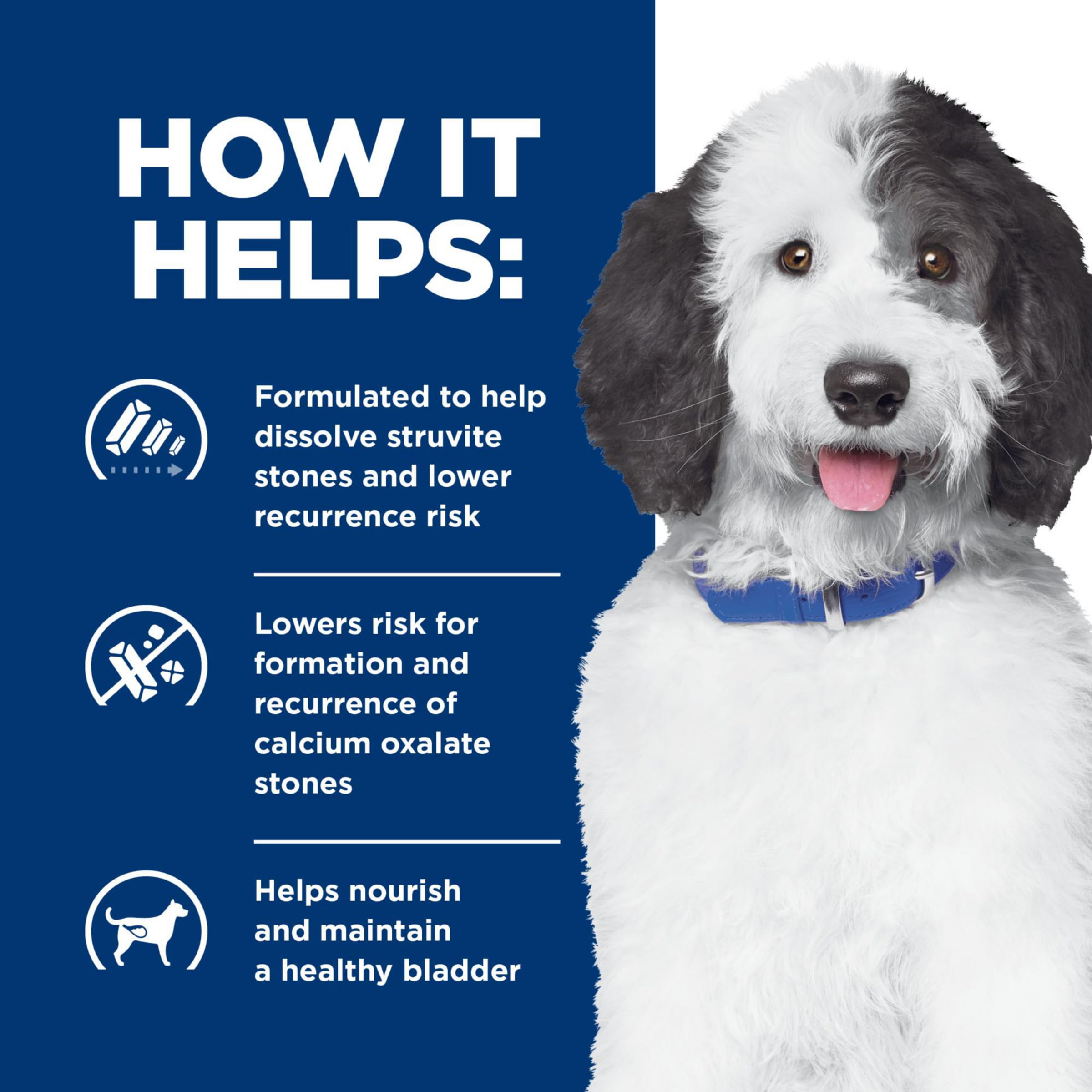 Hill's Prescription Diet c/d Multicare urinary wet dog food can—made in the USA.
