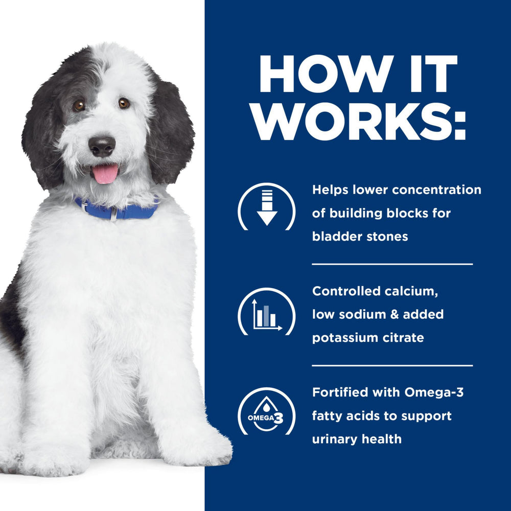 Hill's Prescription Diet c/d Multicare urinary wet dog food can—12-can pack for convenience.