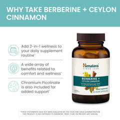 Herbal ingredients like Barberry root and cinnamon blend for a balanced profile.