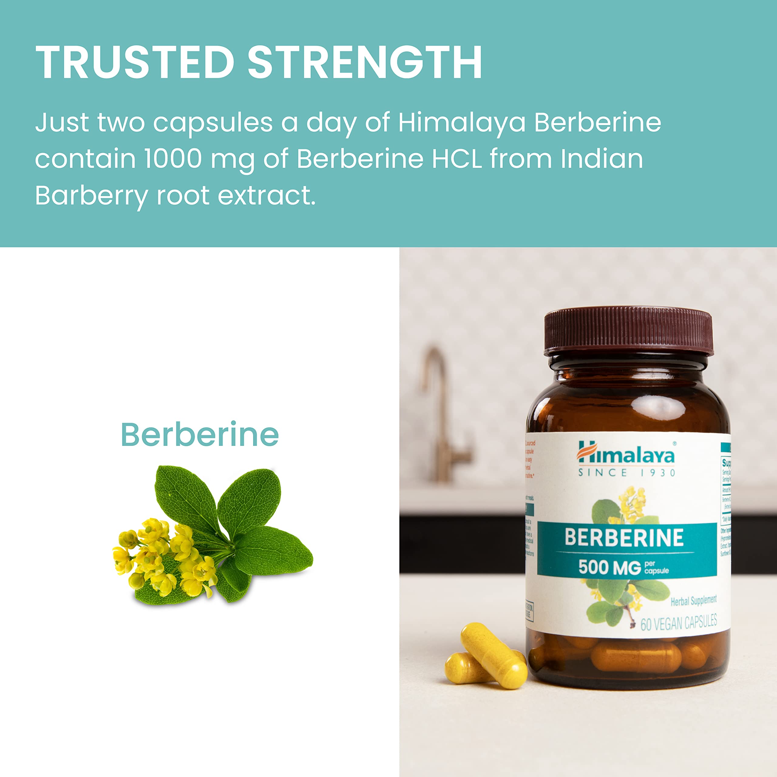 Front of Himalaya Berberine box conveying Ayurveda-inspired formula.