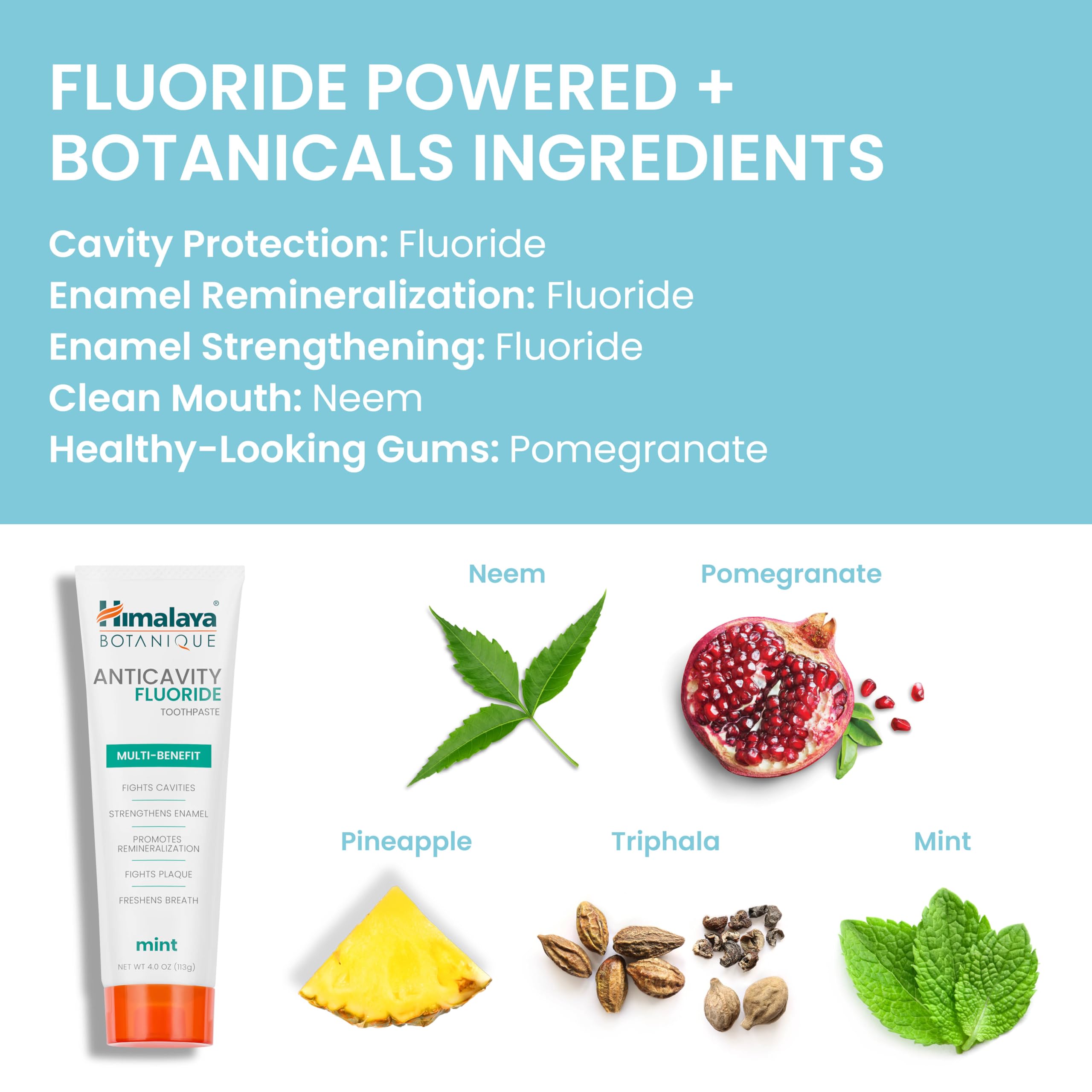 Himalaya Botanique mint flavor delivering refreshing breath.