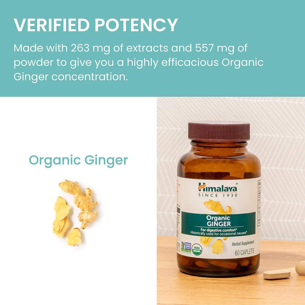 Himalaya Ginger capsules promoting heartburn relief as part of daily wellness routine.