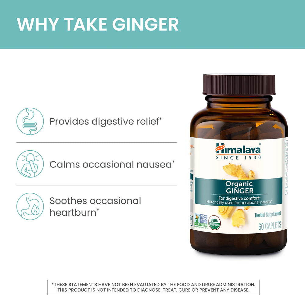 Himalaya Ginger capsules designed for nausea relief and digestive comfort during travel.