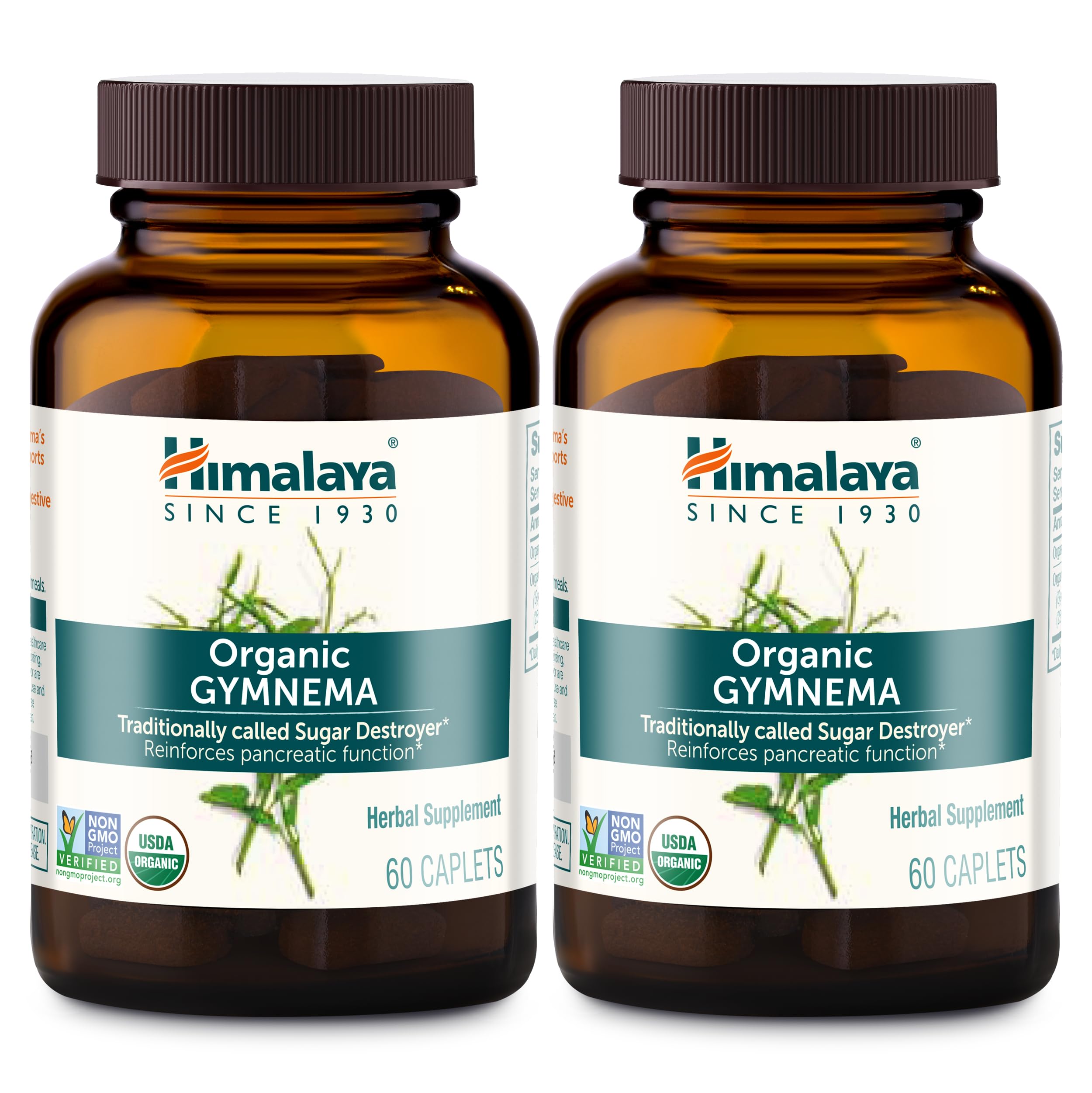Himalaya Gymnema Sylvestre bottle label highlights organic ingredients for daily wellness support.
