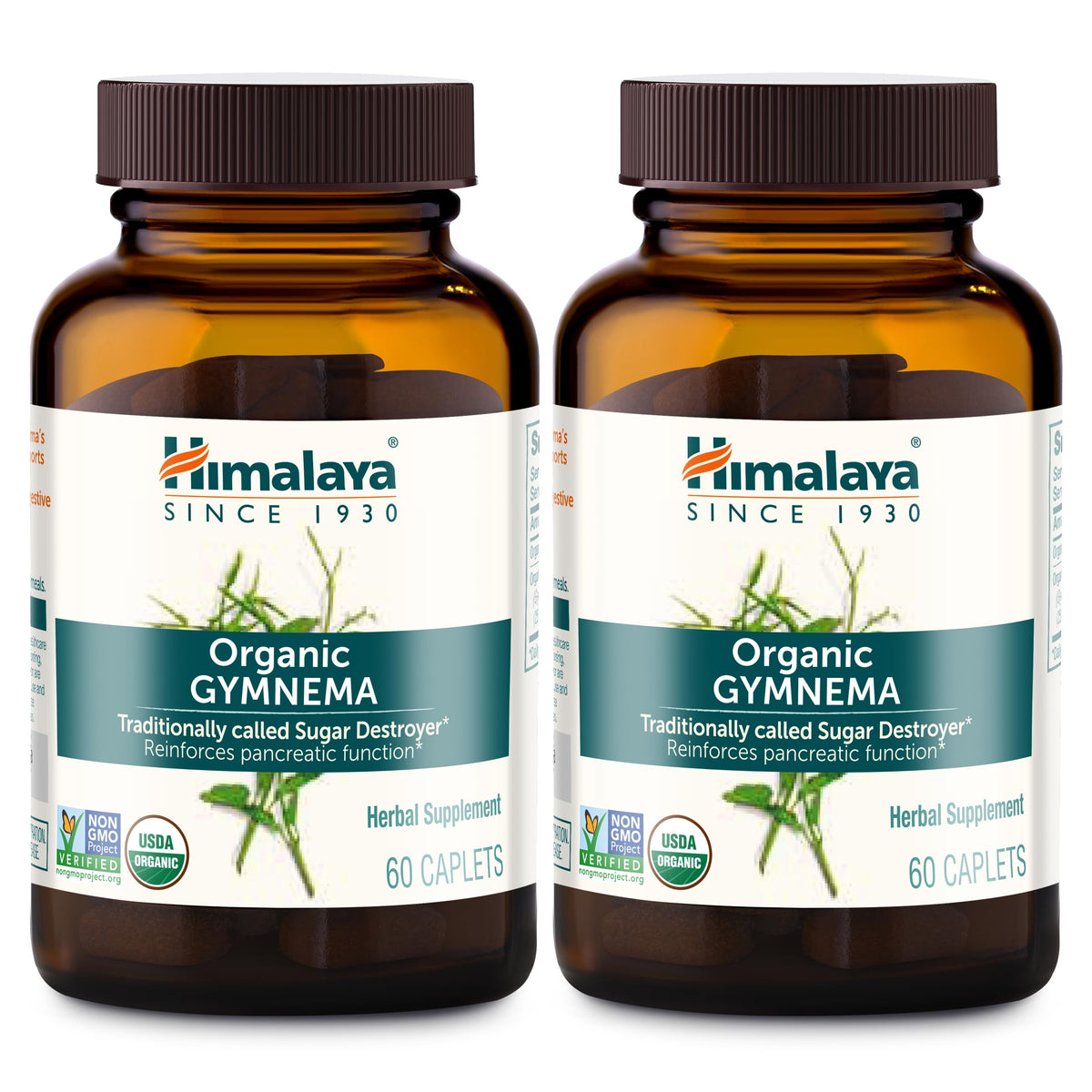Himalaya Gymnema Sylvestre bottle label highlights organic ingredients for daily wellness support.