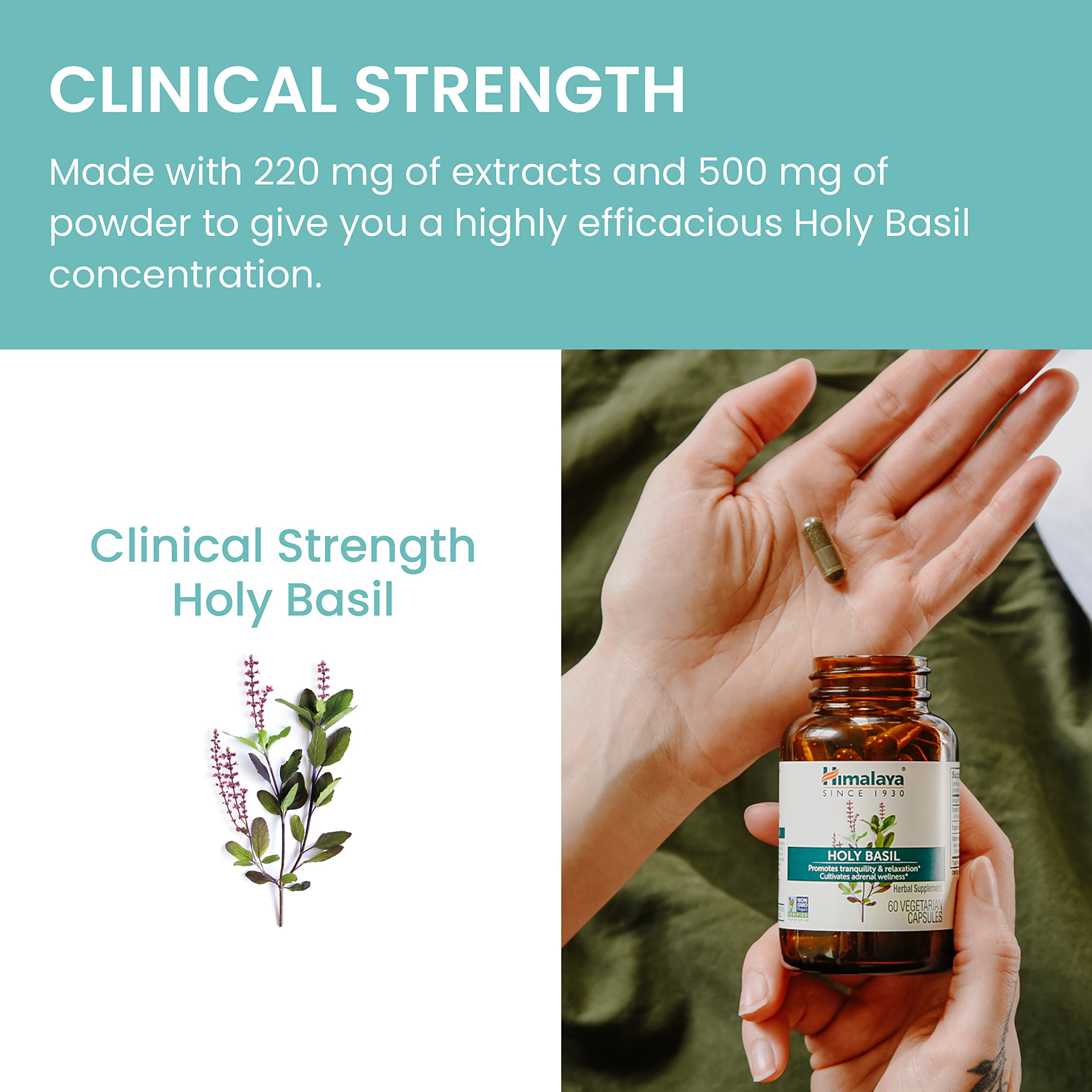 Himalaya Holy Basil packaging showing gluten-free and non-GMO ingredients.