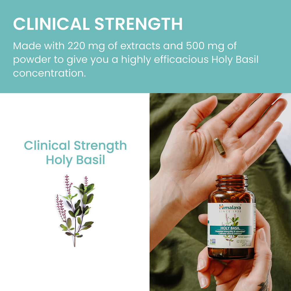Himalaya Holy Basil packaging showing gluten-free and non-GMO ingredients.