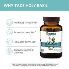 Himalaya Holy Basil outer packaging box highlighting Ayurveda heritage.