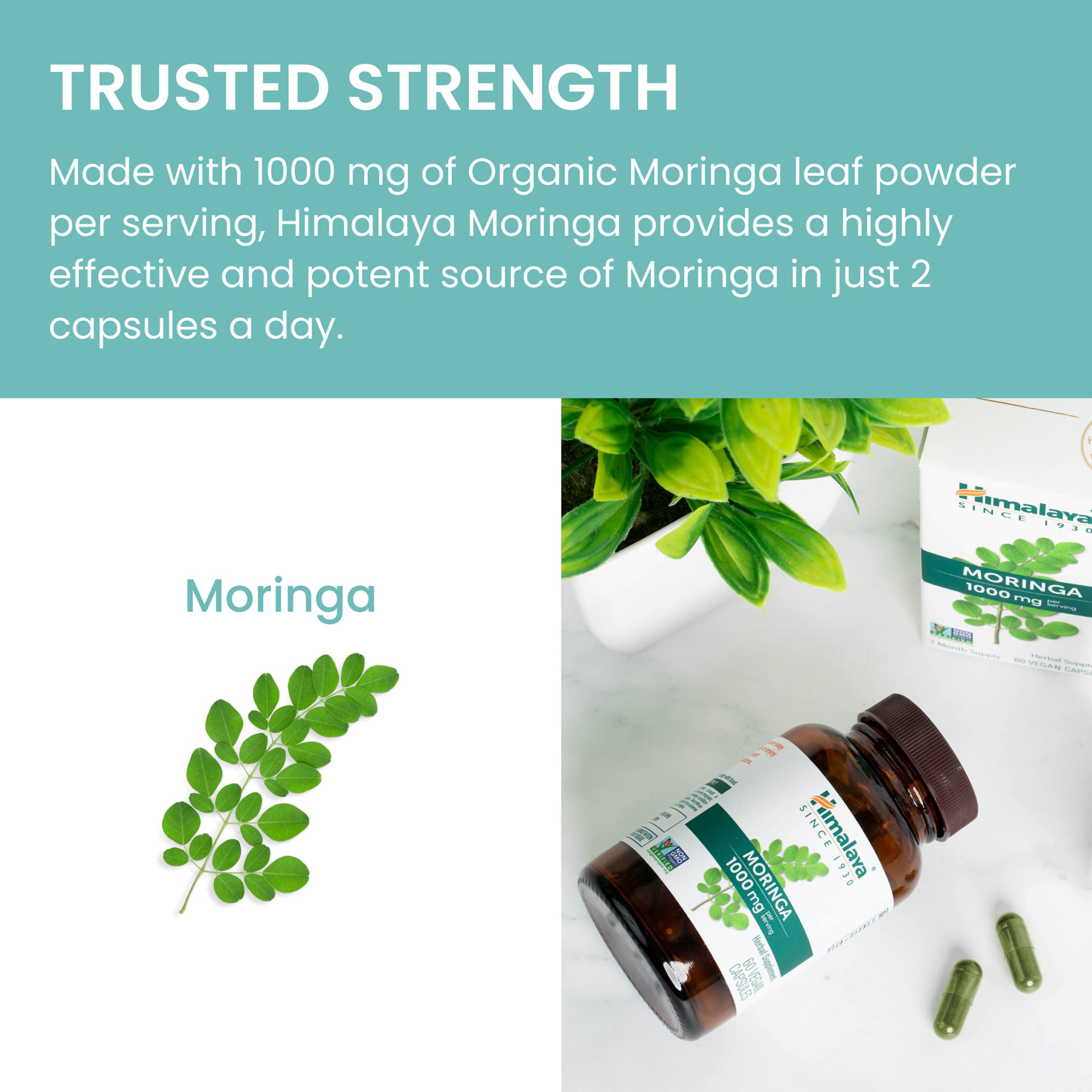 Himalaya Organic Moringa packaging on shelf signaling organic origin