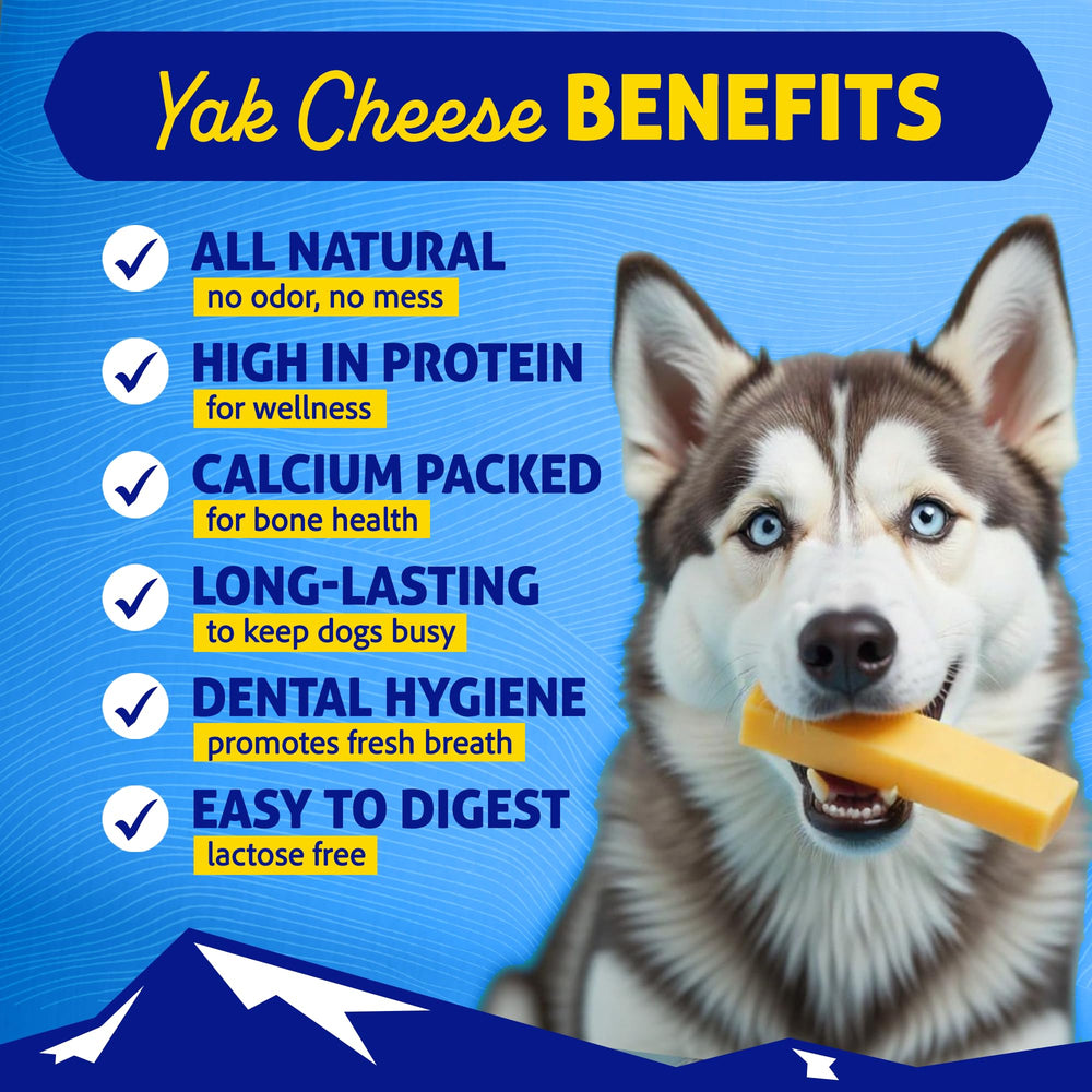 Himalayan Dog Chew yak cheese stick full view highlights protein-rich treat for dogs