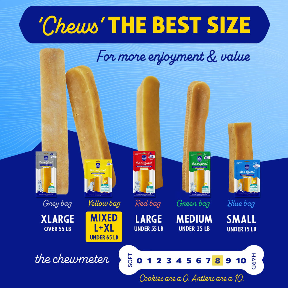 Himalayan Dog Chew yak cheese stick in action shows dogs enjoying chew time