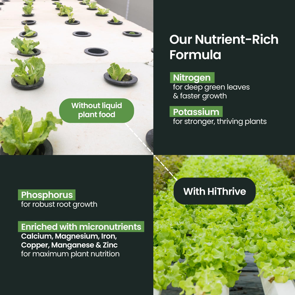 HiThrive 4-3-6 nutrient ratio with micronutrients for plant nourishment.