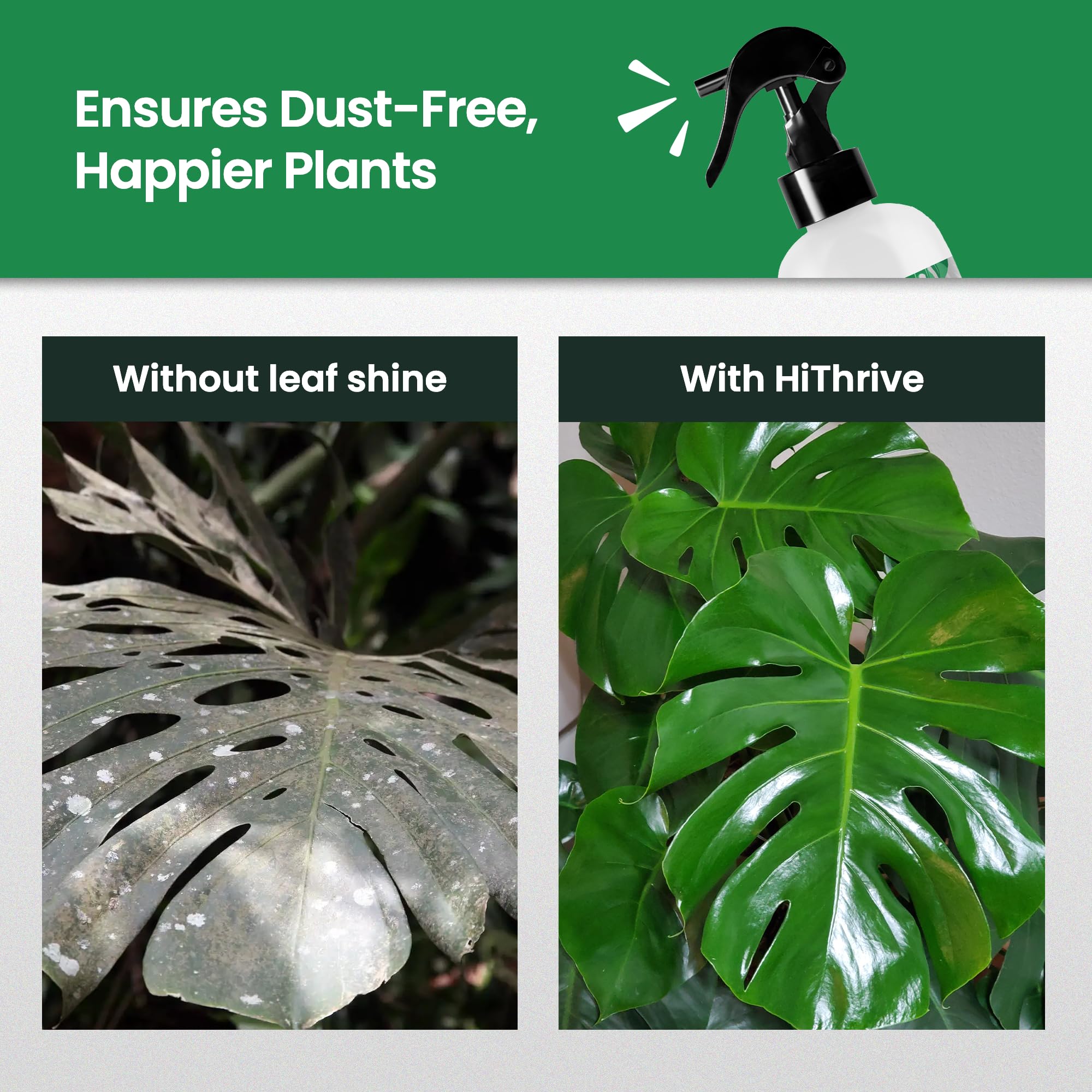 Dust and dirt lifted from leaf surface by HiThrive Leaf Shine Spray
