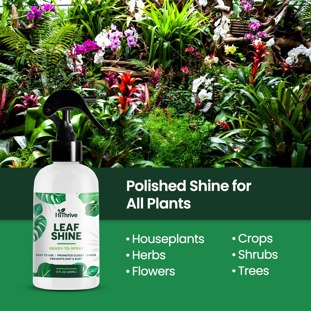 Leaves look cleaner and shinier after HiThrive treatment