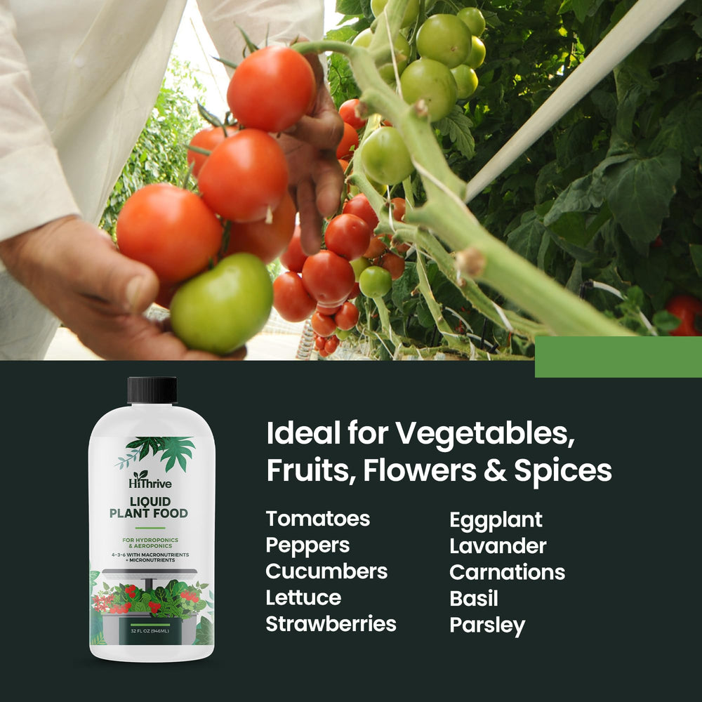 Close-up of a robust root system supported by HiThrive nutrition.