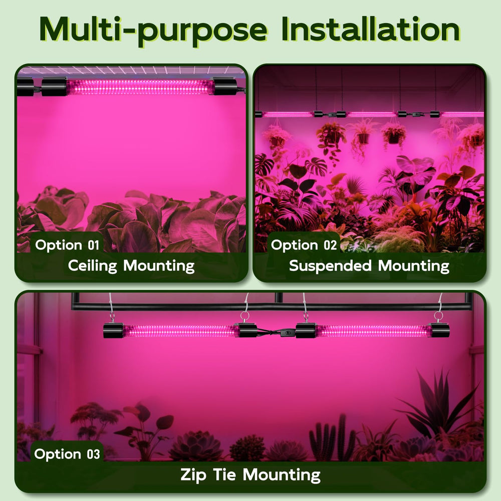 HLite indoors: plants thriving under LED light in winter.