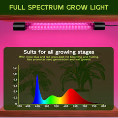 HLite plug-and-play design enabling quick setup above plants.