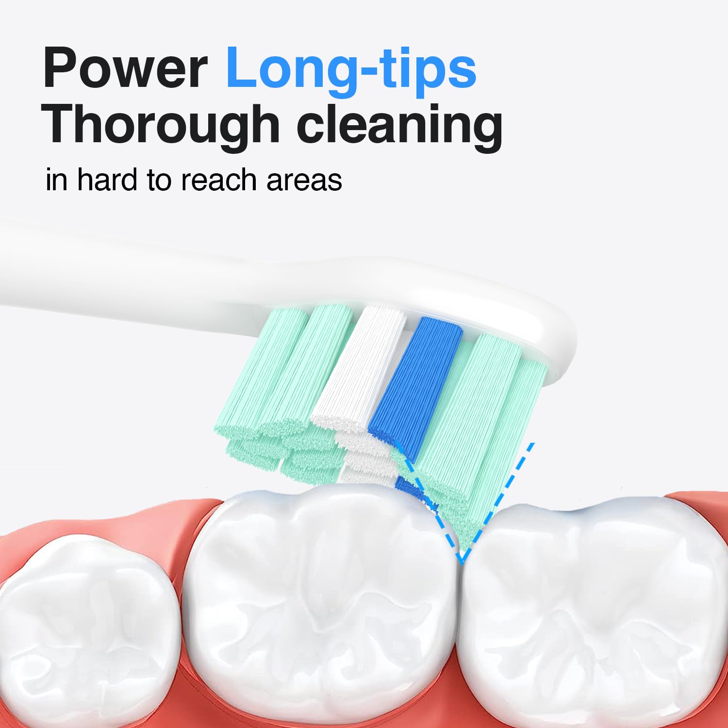 HOFAM densely packed bristles shown for greater tooth contact