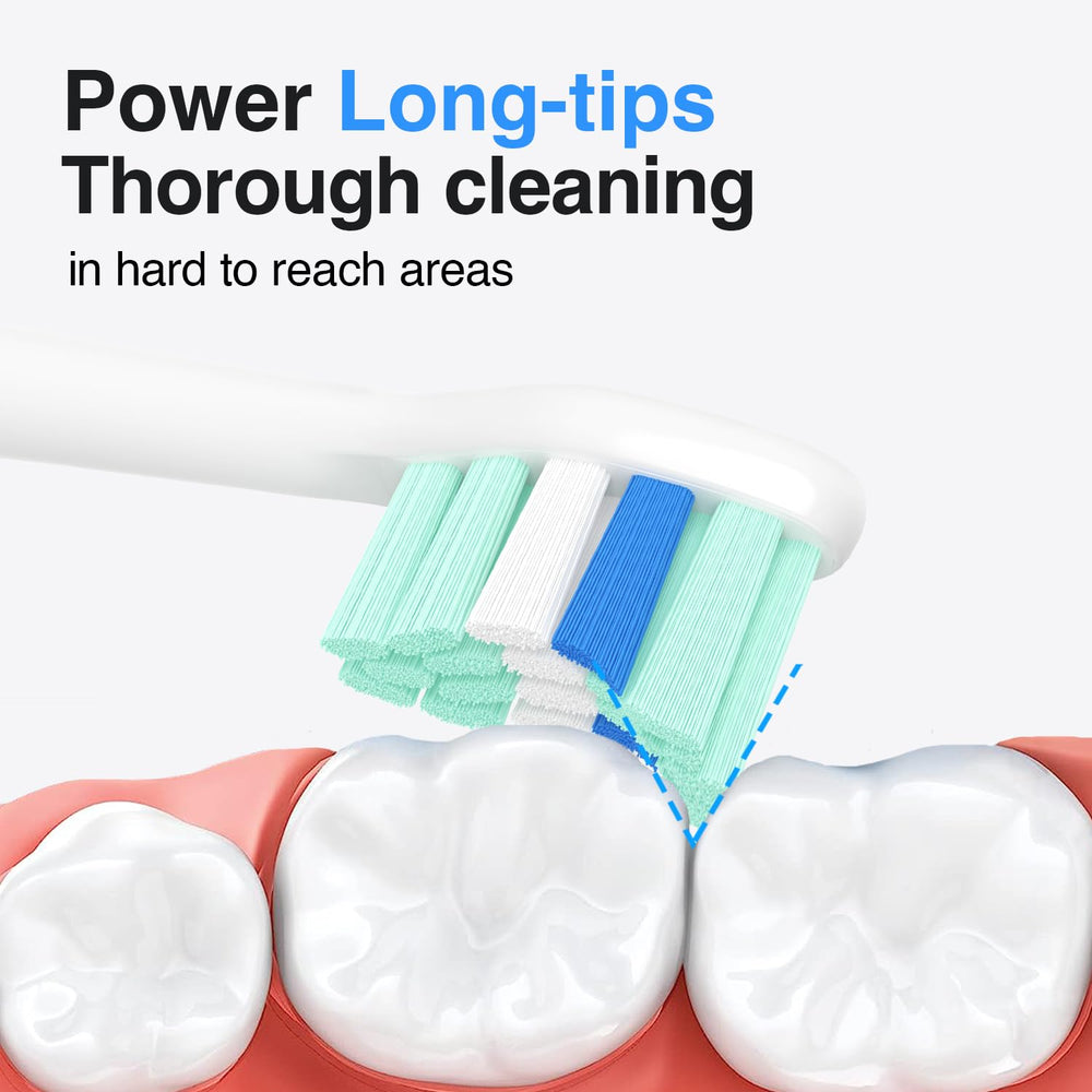 HOFAM densely packed bristles shown for greater tooth contact