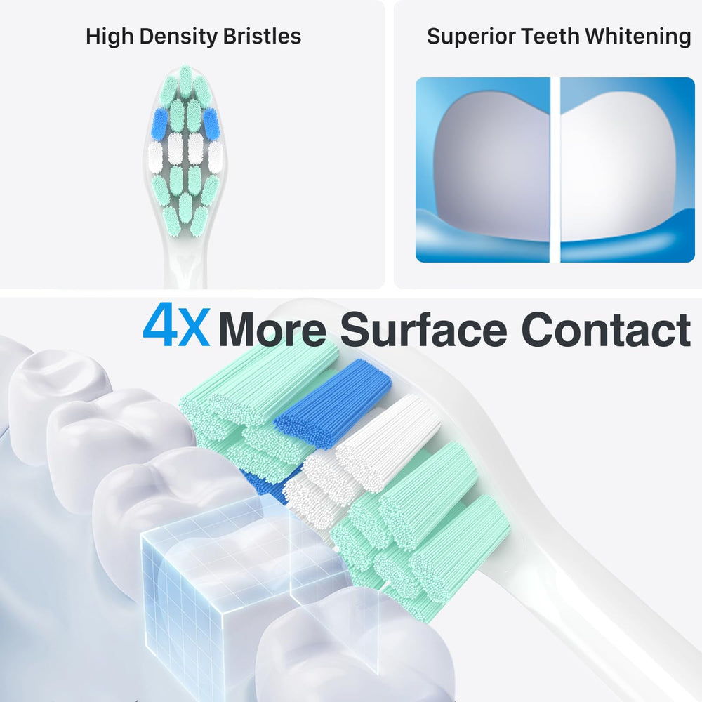 HOFAM durable bristle assembly for long-lasting use