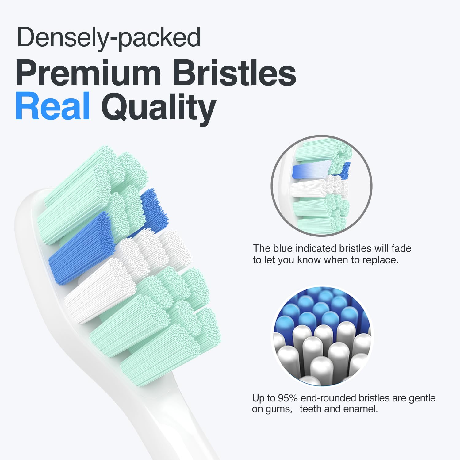 HOFAM end-rounded bristles indicating gum-friendly design