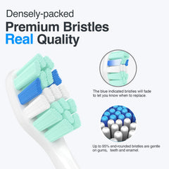 HOFAM end-rounded bristles indicating gum-friendly design