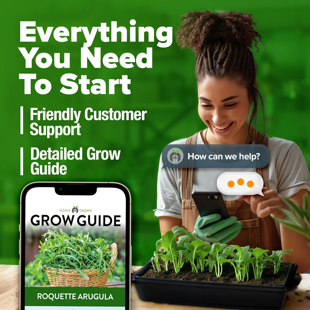 HOME GROWN arugula flowers attract pollinators, enriching garden biodiversity.