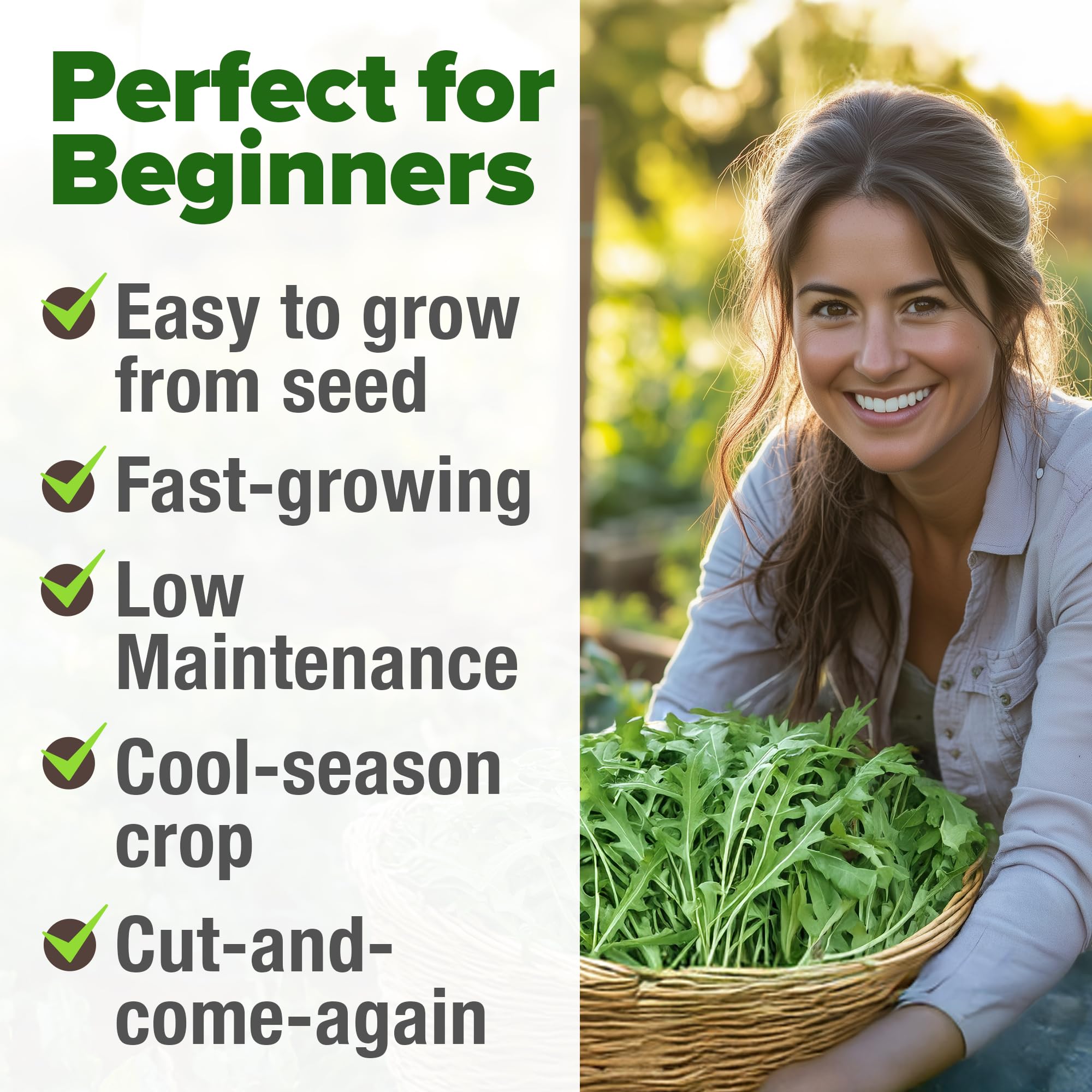 HOME GROWN arugula seeds for hydroponic setups with rapid greens.