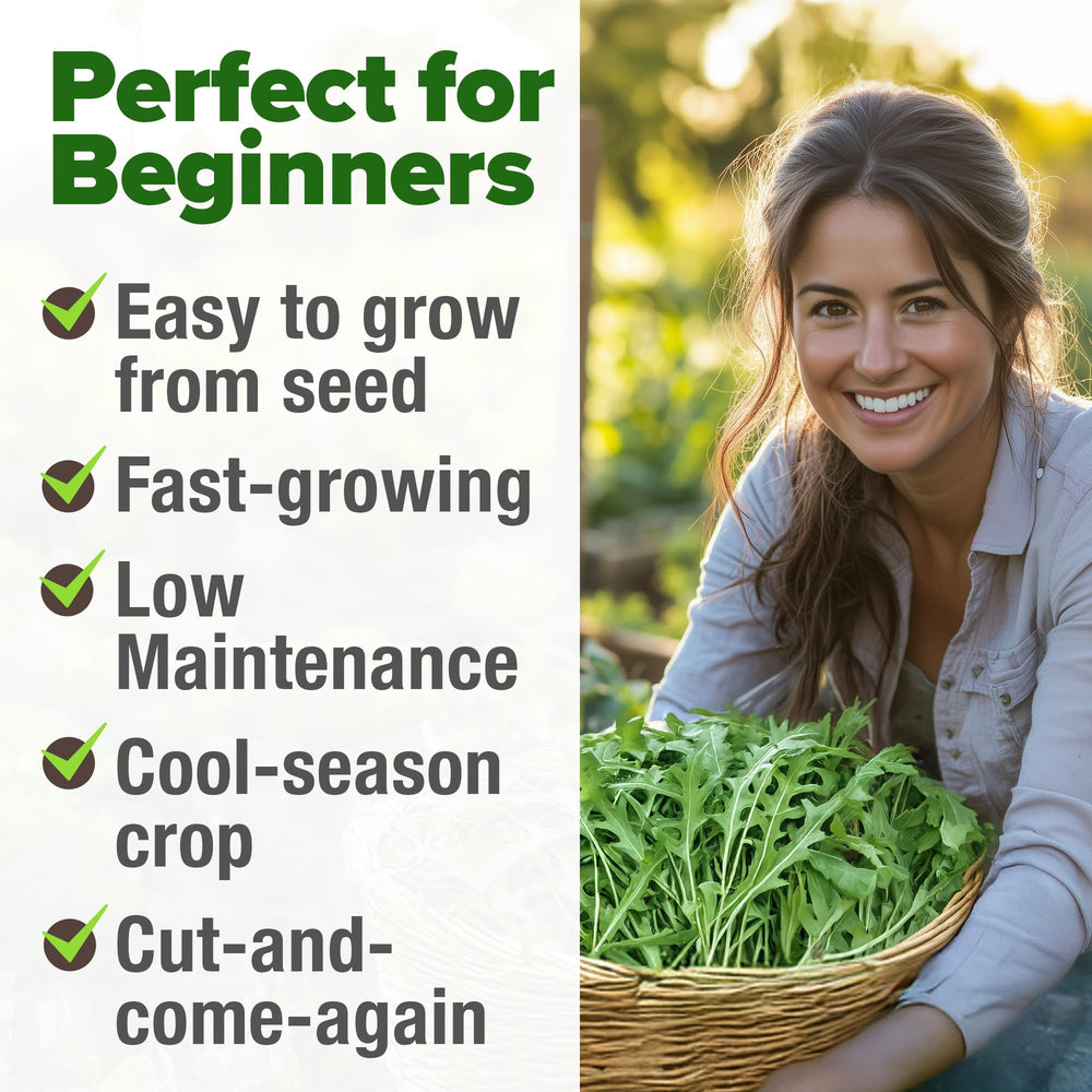 HOME GROWN arugula seeds for hydroponic setups with rapid greens.
