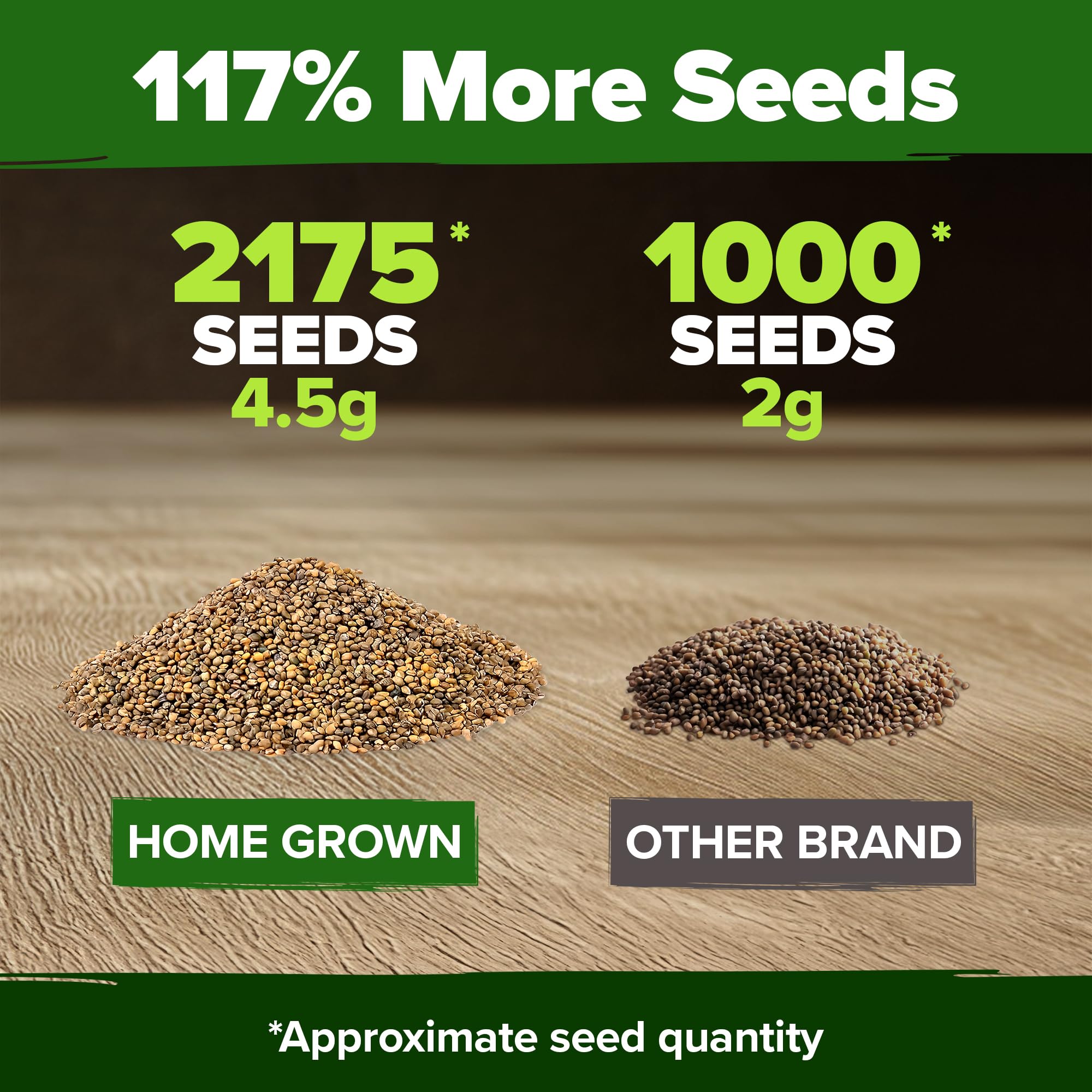 HOME GROWN arugula seeds planting outdoors in garden beds or containers.