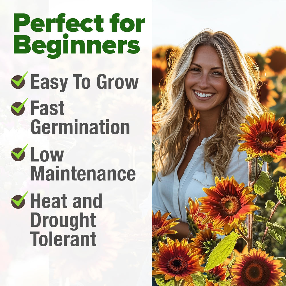 HOME GROWN Autumn Beauty seeds resist heat and pests for reliable blooms.
