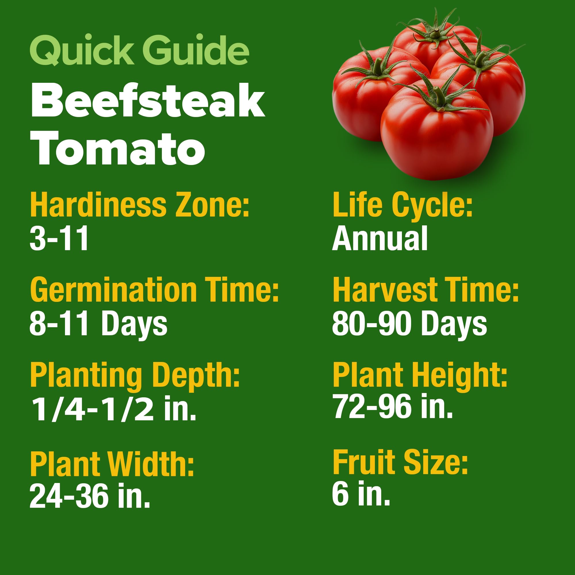 HOME GROWN Beefsteak seeds, 600 count in-pack, ready for high-yield planting.
